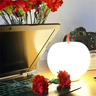 Lampe boule de verre transportable LED VERRE