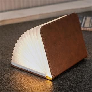 Smart Book Light, Lampe Livre Lumière - Gingko